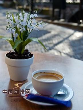 福建的咖啡产业