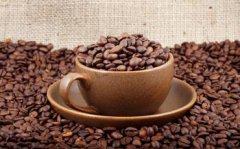 Definition of roasting degree and Taste of various Coffee Coffee roasting knowledge