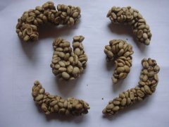 Yunnan produces only 50 to 100kg of Kopi Luwak every year.