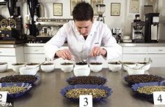 Tips for cup tasters: introduction to cup testing