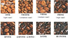 Explain the general knowledge of roasting coffee beans with 8 roasting degrees.