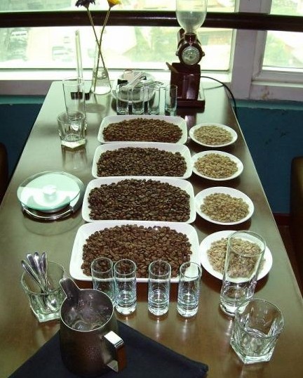 Significance of cupping Coffee Cup Test Fine Coffee Technology