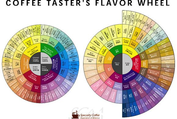 SCAA's coffee flavor round Coffee Taster's Flavor Wheel