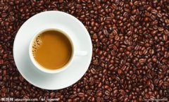 Knowledge about the sour taste of coffee the relationship between caffeic acid and roasting