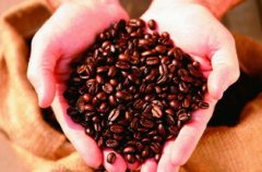 The factors affecting the degree of roasting of Coffee