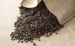 Organic coffee beans reasons for choosing organic coffee beans