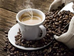 What is the relationship between the oil yield of roasted coffee beans and freshness?