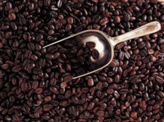 The key to judging the freshness of coffee beans is to smell, see and peel