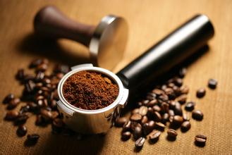 Where are most of the aromas of coffee beans concentrated?