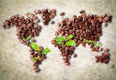 Coffee culture Coffee spread track in the world