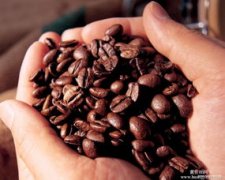 How to appreciate the appreciation methods of high-quality coffee beans