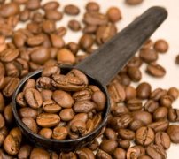 How can coffee beans choose the seven steps to choose good coffee beans