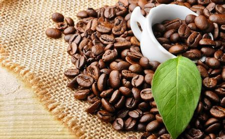 How long is the shelf life of ripe coffee beans?