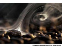 The difference between male beans and female beans is where coffee beans are common sense