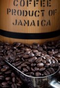 The unique Blue Mountain Coffee in the World