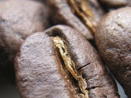 Freshness is the life of coffee how to determine the freshness of coffee beans.