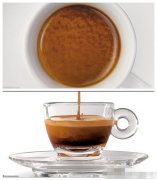 Five identities of coffee taste about Espresso Italian concentration