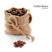 Basic knowledge of Fine Coffee quality and judgment of Coffee beans