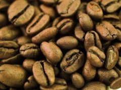 What are the faithful companions of coffee?