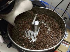 Coffee bean baking software Artisan (record baking curve)