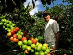 The door to a coffee trip in Southeast Asia was opened.