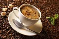 A small cup of coffee has the basic knowledge of drinking coffee in secret.