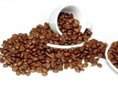 Coffee business graduates can join the coffee industry