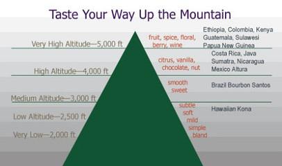 Effect of altitude on Coffee Flavor