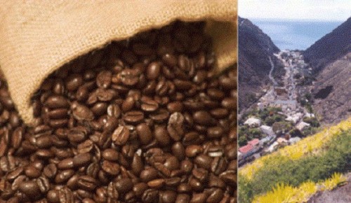 How to determine the freshness of coffee beans?