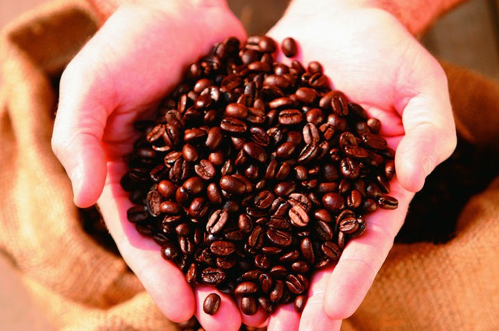 In the next decade, China will become one of the countries with the largest coffee sales in the world.