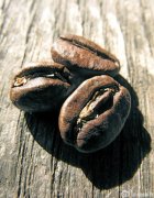 Drinking coffee must start with raw coffee beans.