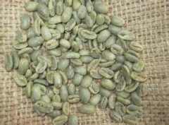 Basic knowledge of boutique coffee beans Coffee in Indonesia