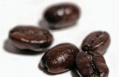 The branches of coffee can be divided into the following categories according to their location and growth direction.