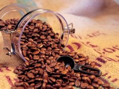 Awaken the life of coffee beans and roast coffee technology