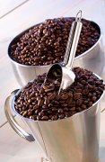 Coffee bean roasting theory definition of various roasting degrees and taste problems