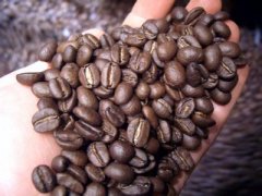 How does the label of coffee roasting distinguish between several degrees of roasting?