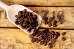 Basic knowledge of coffee beans Brazilian Santos coffee raw beans