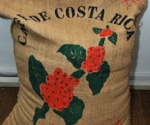 Costa Rican Raminita coffee beans