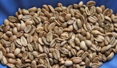 Produced in Hainan, China: Liberica coffee beans