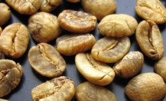 Introduction to Famous Coffee Green Beans Indonesia Aged Mantenin Green Beans