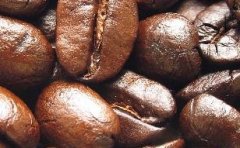 Famous Coffee Raw beans introduce Yunnan small Coffee