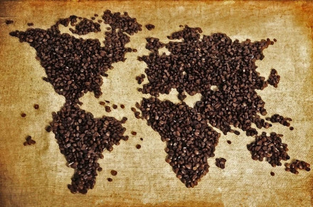 Sixteen kinds of coffee beans from different places are introduced. Is there the one you only like?