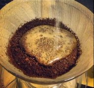Detailed analysis of volatile compounds in coffee beans