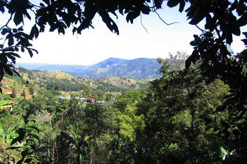 The traditional coffee producing area has made a comeback and changed the way of fine coffee.