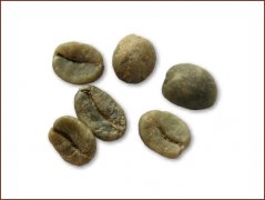 Picture of Costa Rican coffee beans (Costa Rica coffee)