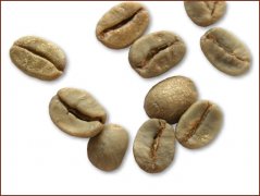 Picture of small Brazilian coffee beans (Brazilian Arabica)