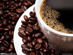 Five important characteristics that determine the characteristics of coffee