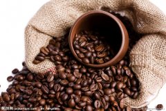 The key to determining the quality of coffee lies in coffee raw beans.