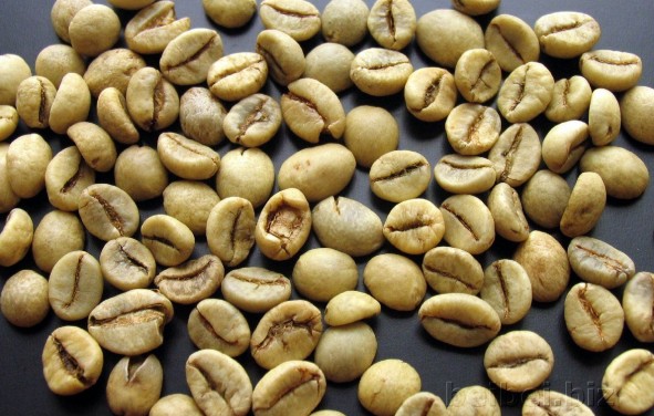 印尼爪哇罗布斯塔生豆 Indonesia Java robusta green bean