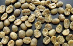 Yunnan BM species (Blue Mountain species) coffee beans